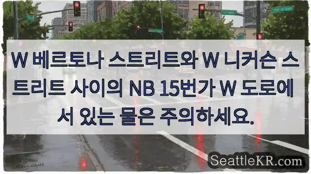 W 베르토나 스트리트와 W 니커슨 스트리트 사이의 NB 15번가 W 도로에 서 있는 물은