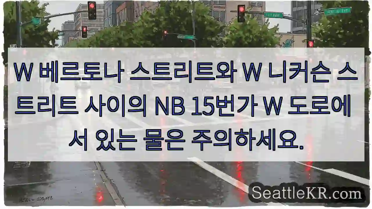 W 베르토나 스트리트와 W 니커슨 스트리트 사이의 NB 15번가 W 도로에 서 있는 물은