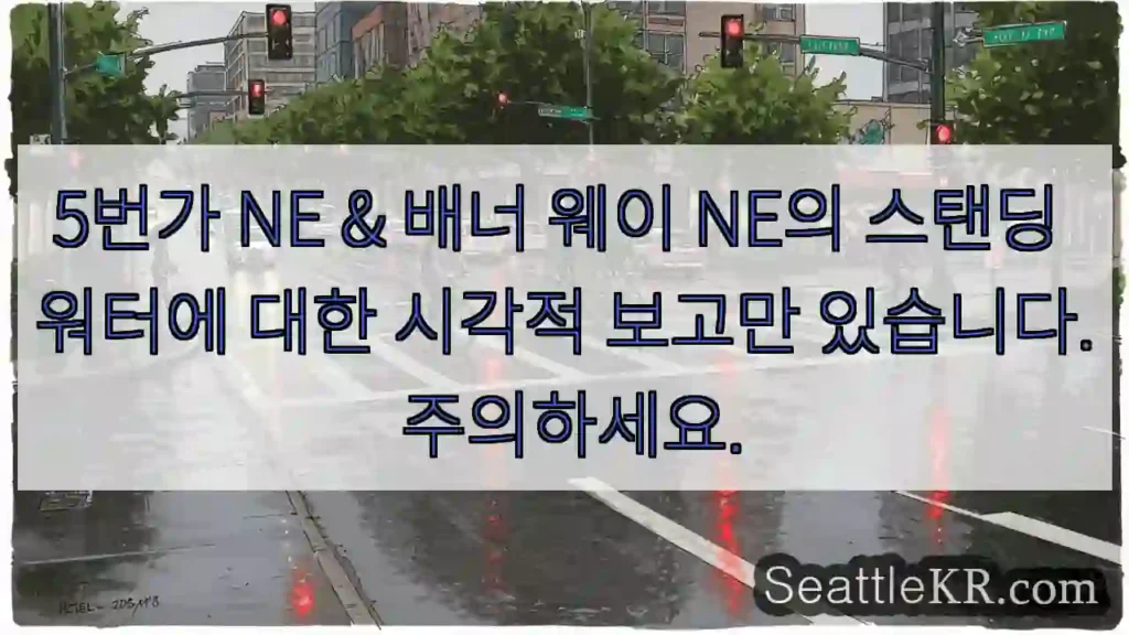 5번가 NE & 배너 웨이 NE의 스탠딩 워터에 대한 시각적 보고만 있습니다. 주의하세요.
