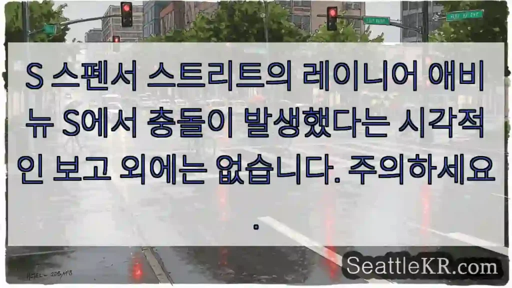 S 스펜서 스트리트의 레이니어 애비뉴 S에서 충돌이 발생했다는 시각적인 보고 외에는