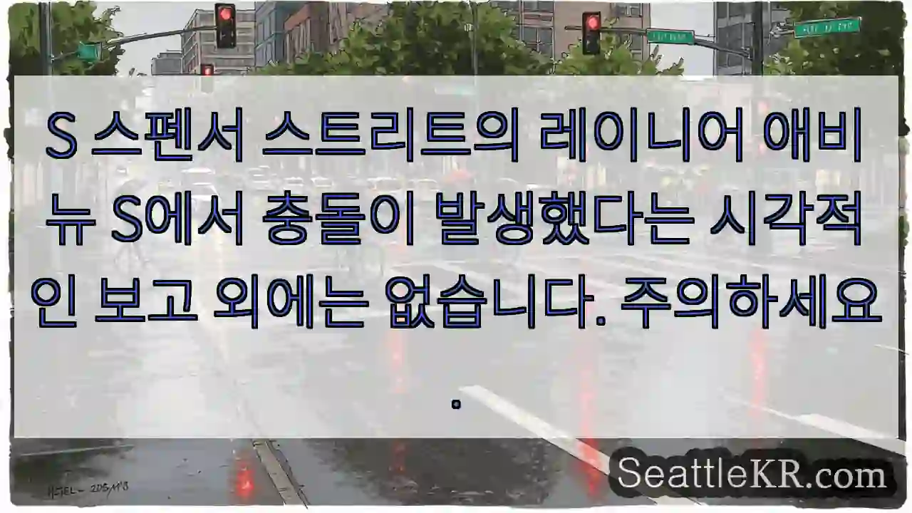S 스펜서 스트리트의 레이니어 애비뉴 S에서 충돌이 발생했다는 시각적인 보고 외에는