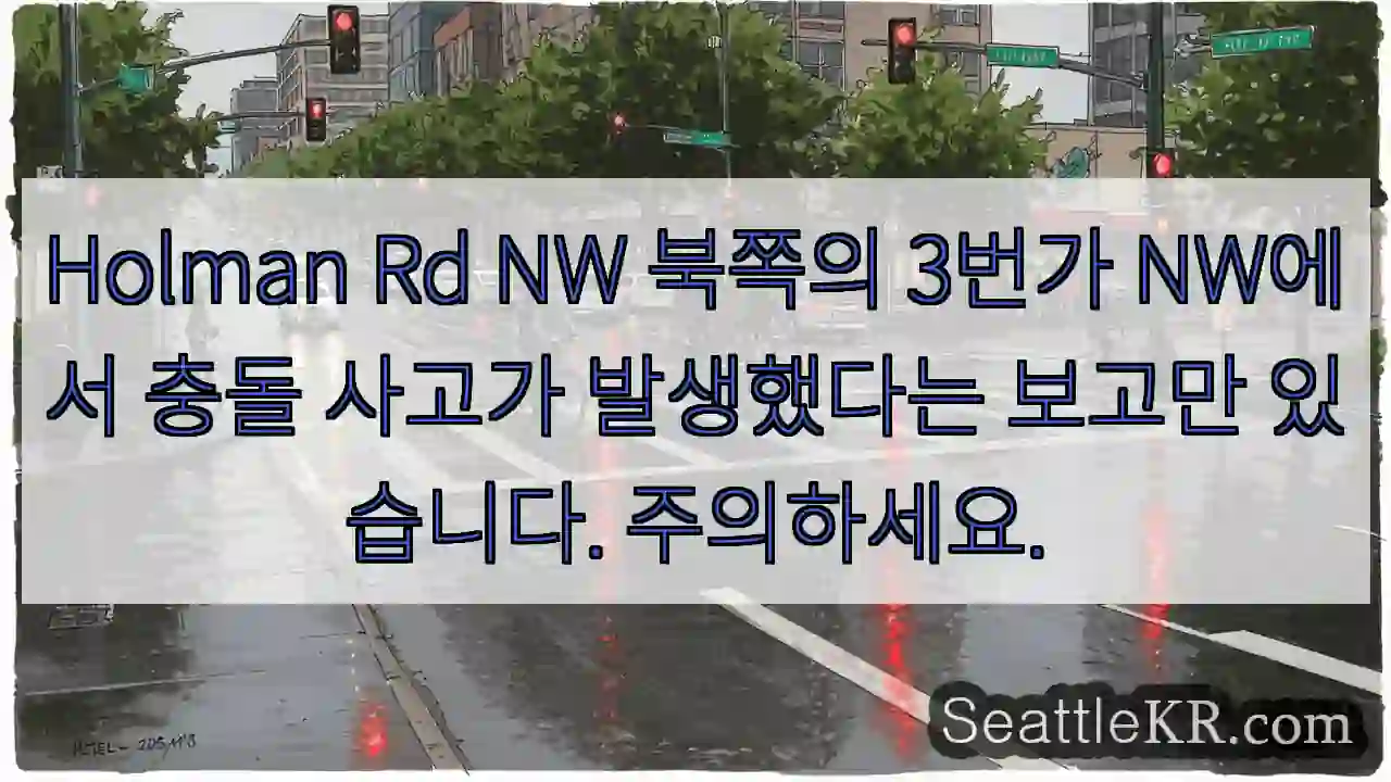 Holman Rd NW 북쪽의 3번가 NW에서 충돌 사고가 발생했다는 보고만 있습니다.