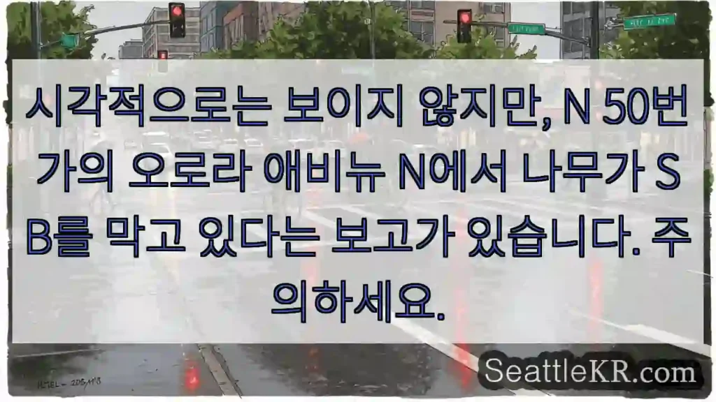 시각적으로는 보이지 않지만, N 50번가의 오로라 애비뉴 N에서 나무가 SB를 막고