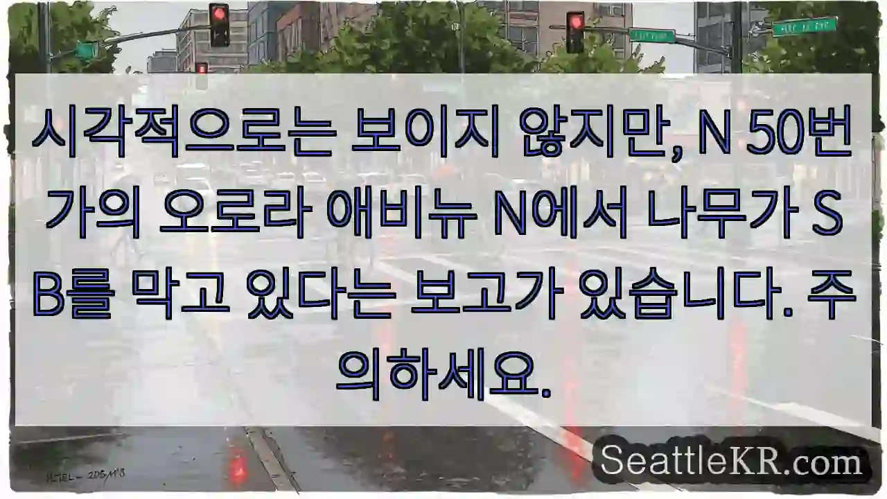 시각적으로는 보이지 않지만, N 50번가의 오로라 애비뉴 N에서 나무가 SB를 막고