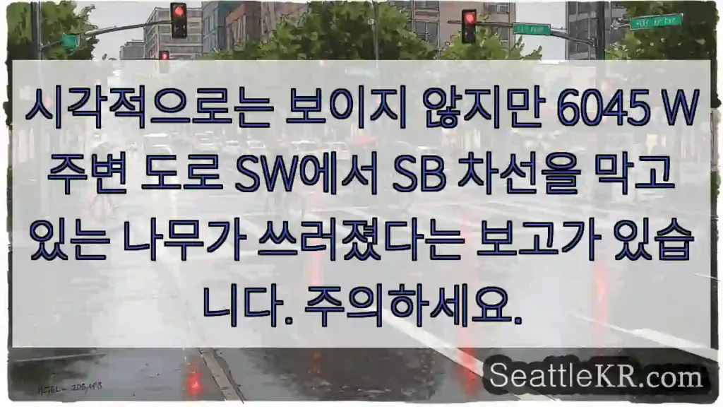 시각적으로는 보이지 않지만 6045 W 주변 도로 SW에서 SB 차선을 막고 있는 나무가