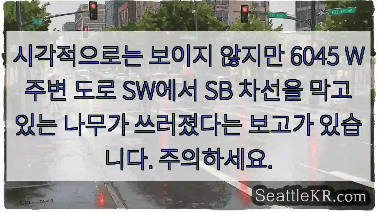 시각적으로는 보이지 않지만 6045 W 주변 도로 SW에서 SB 차선을 막고 있는 나무가