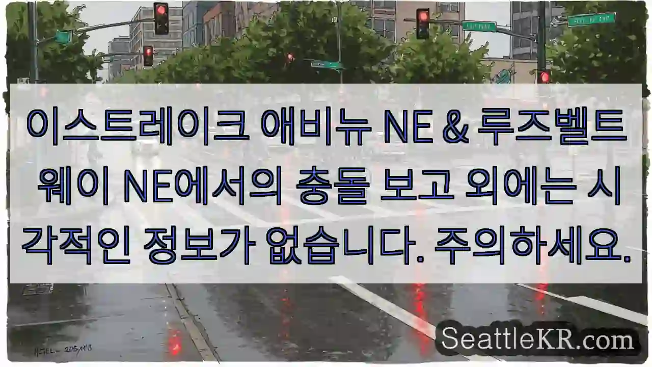 이스트레이크 애비뉴 NE & 루즈벨트 웨이 NE에서의 충돌 보고 외에는 시각적인 정보가