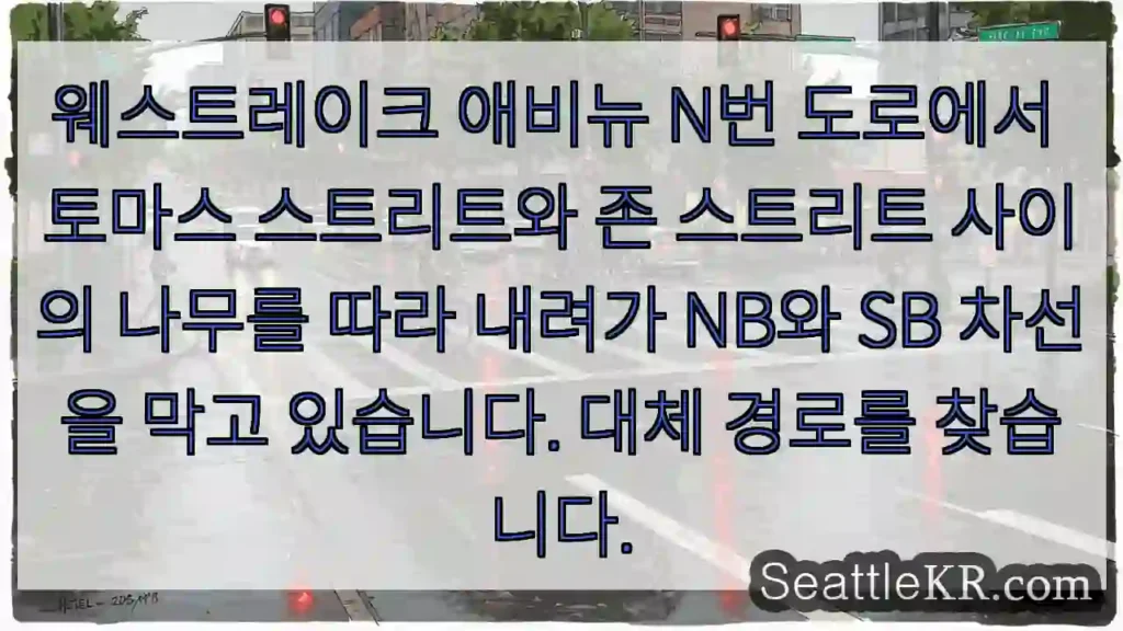 웨스트레이크 애비뉴 N번 도로에서 토마스 스트리트와 존 스트리트 사이의 나무를 따라
