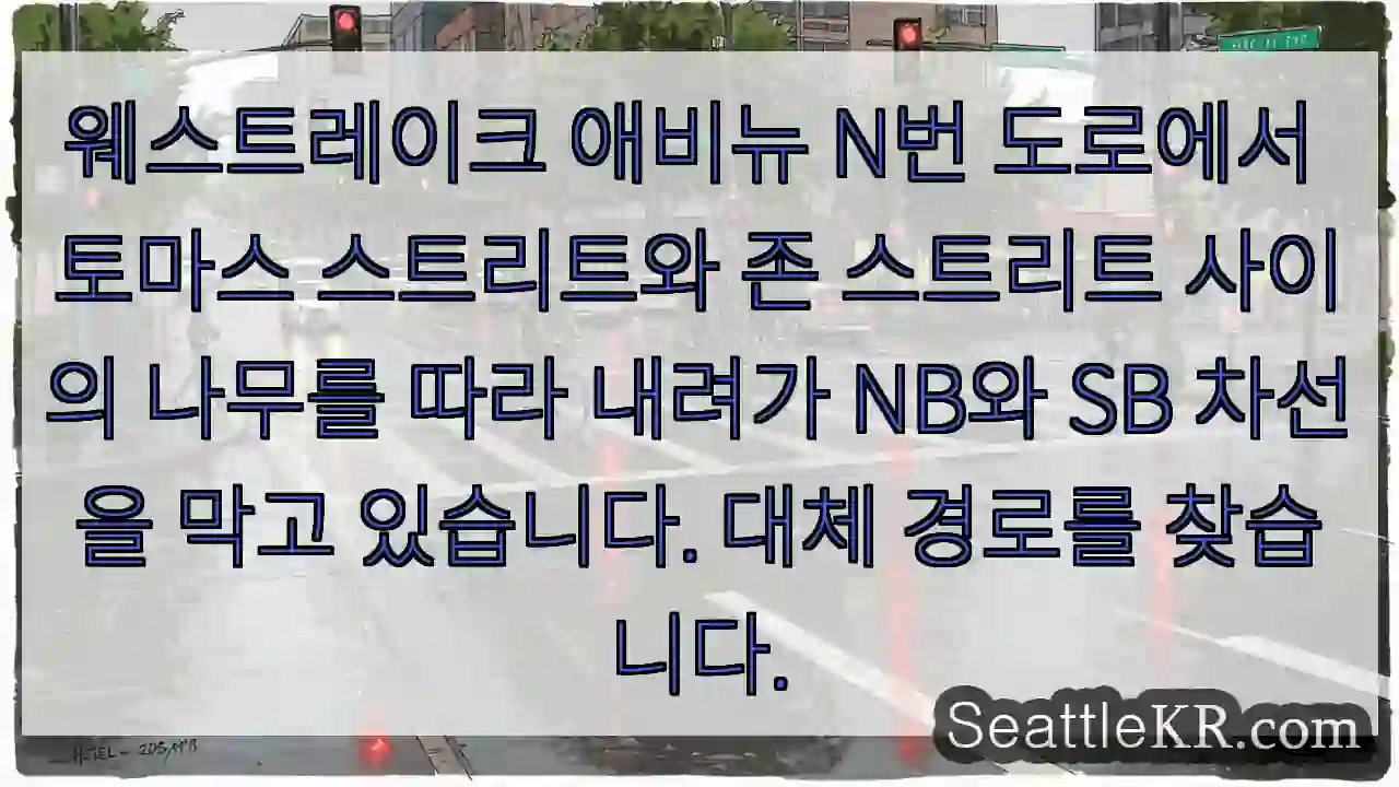 웨스트레이크 애비뉴 N번 도로에서 토마스 스트리트와 존 스트리트 사이의 나무를 따라 1 웨스트레이크 애비뉴 N번 도로에서 토마스 스트리트와 존 스트리트 사이의 나무를 따라