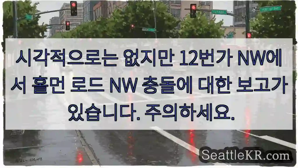 시각적으로는 없지만 12번가 NW에서 홀먼 로드 NW 충돌에 대한 보고가 있습니다.