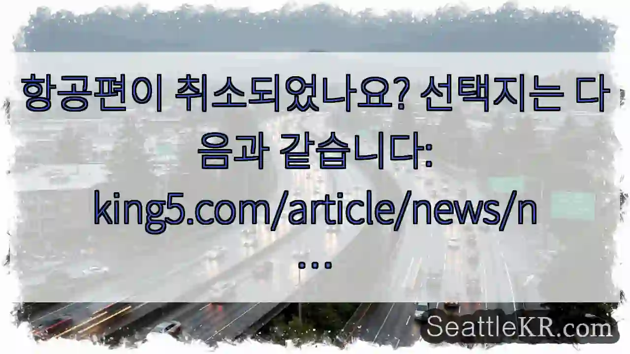 항공편이 취소되었나요? 선택지는 다음과