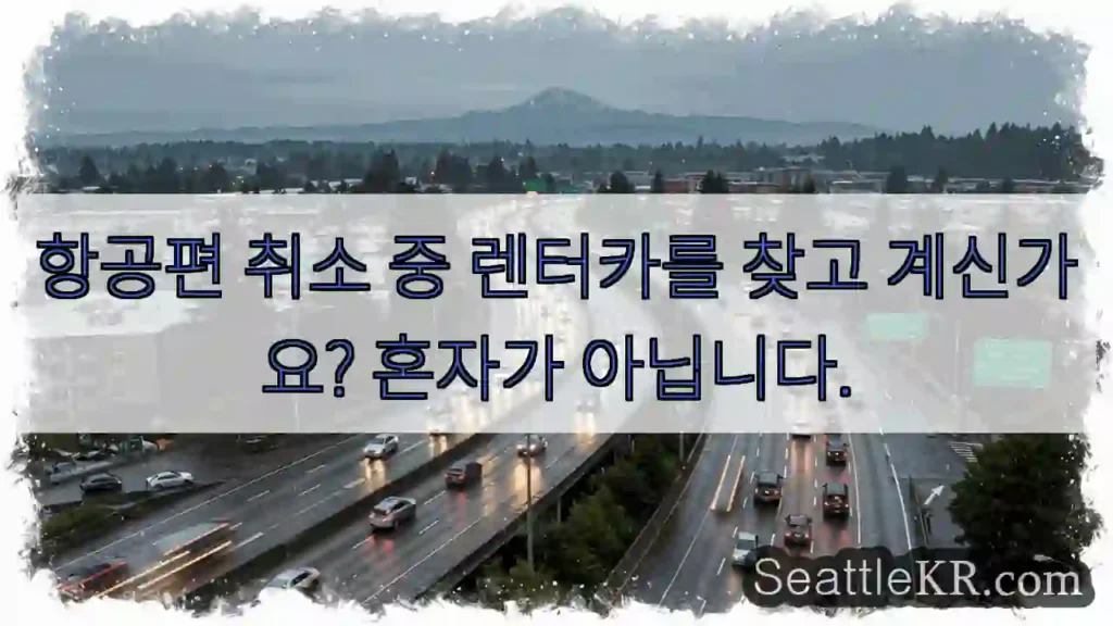 항공편 취소 중 렌터카를 찾고 계신가요? 혼자가 아닙니다.