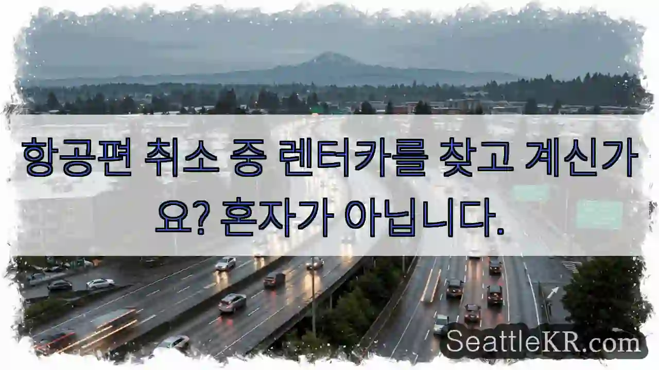 항공편 취소 중 렌터카를 찾고 계신가요? 혼자가 아닙니다.