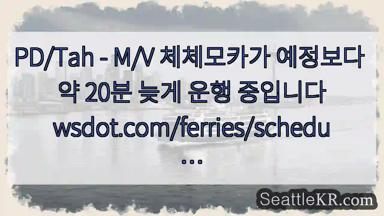 PD/Tah - M/V 체체모카가 예정보다 약 20분 늦게 운행