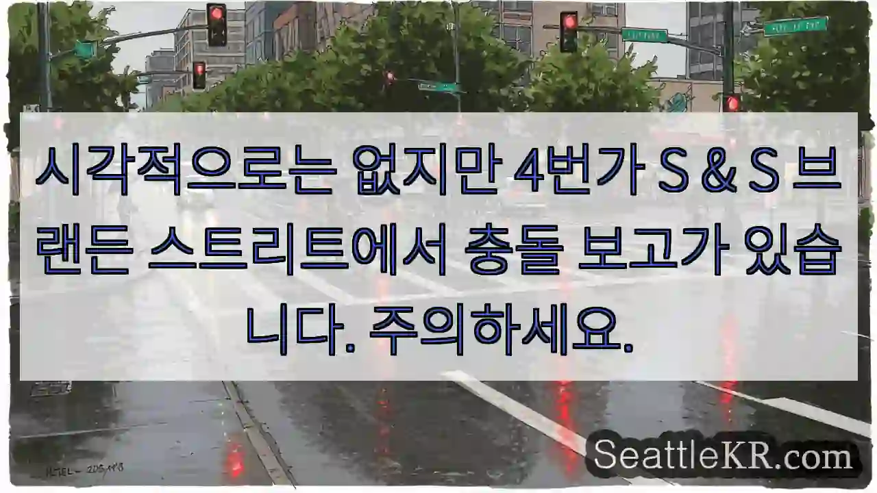 시각적으로는 없지만 4번가 S & S 브랜든 스트리트에서 충돌 보고가 있습니다.