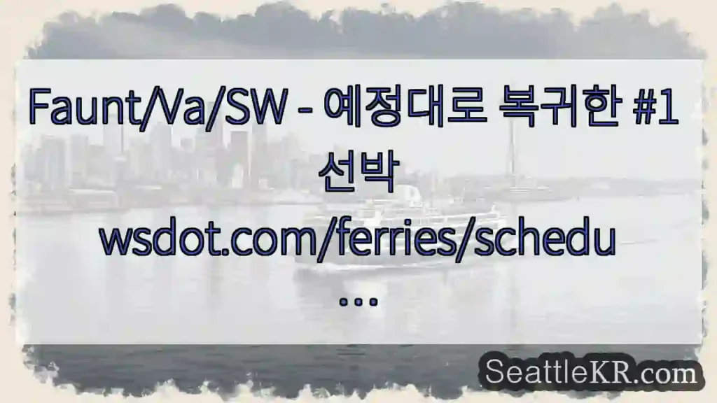 Faunt/Va/SW - 예정대로 복귀한 #1