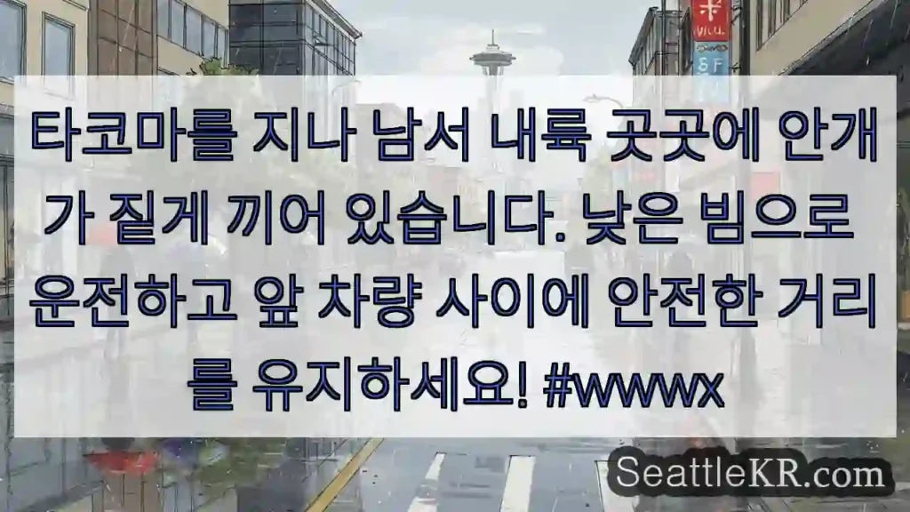 타코마를 지나 남서 내륙 곳곳에 안개가 짙게 끼어 있습니다. 낮은 빔으로 운전하고 앞