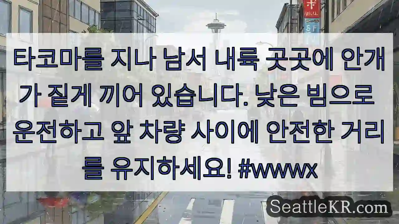타코마를 지나 남서 내륙 곳곳에 안개가 짙게 끼어 있습니다. 낮은 빔으로 운전하고 앞