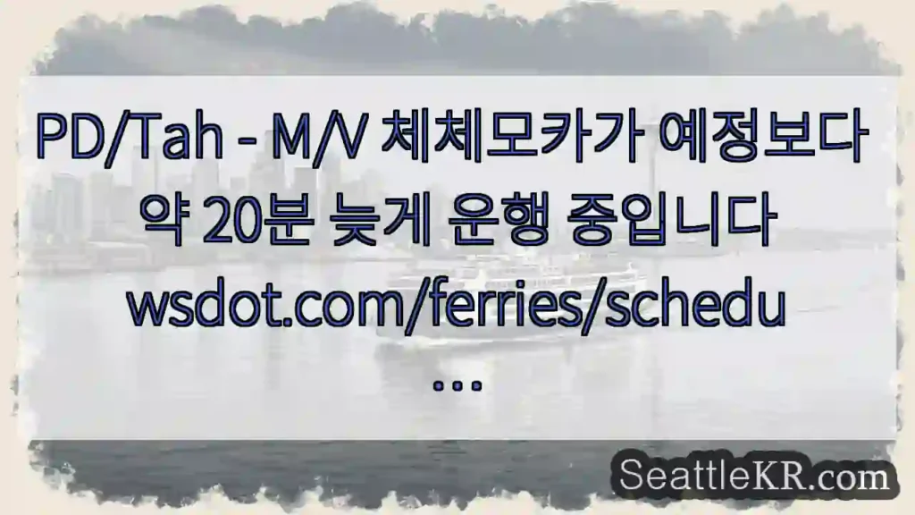 PD/Tah - M/V 체체모카가 예정보다 약 20분 늦게 운행