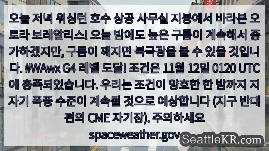 Home 6 오늘 저녁 워싱턴 호수 상공 사무실 지붕에서 바라본 오로라 보레알리스! 오늘 밤에도 높은