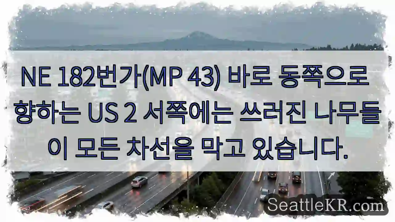 NE 182번가(MP 43) 바로 동쪽으로 향하는 US 2 서쪽에는 쓰러진 나무들이 모든