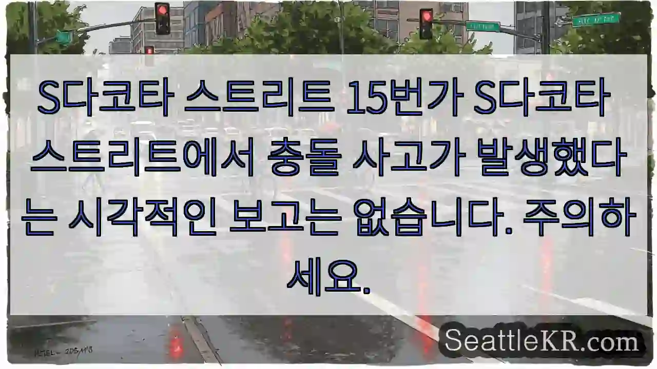 S다코타 스트리트 15번가 S다코타 스트리트에서 충돌 사고가 발생했다는 시각적인 보고는