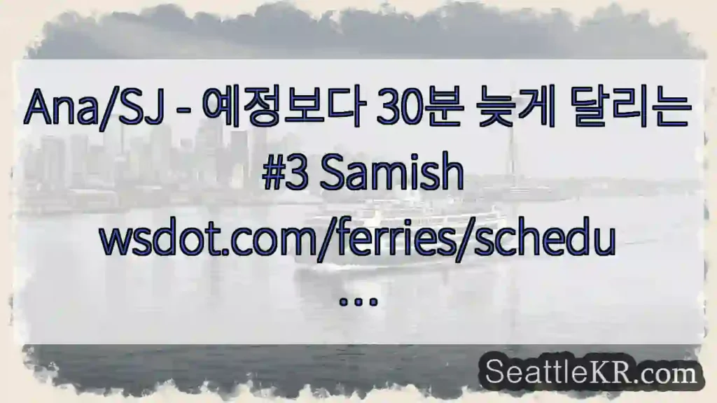 Ana/SJ - 예정보다 30분 늦게 달리는 #3