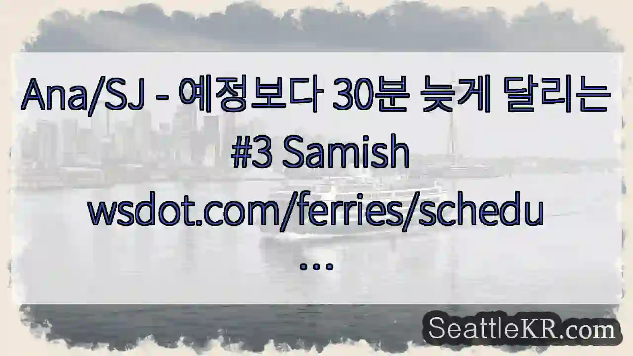 Ana/SJ - 예정보다 30분 늦게 달리는 #3