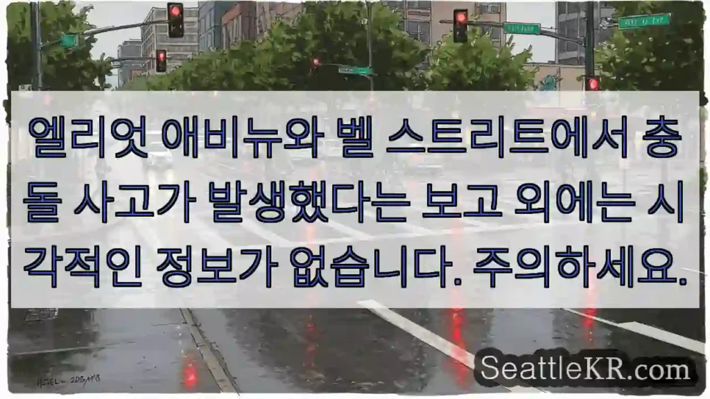엘리엇 애비뉴와 벨 스트리트에서 충돌 사고가 발생했다는 보고 외에는 시각적인 정보가
