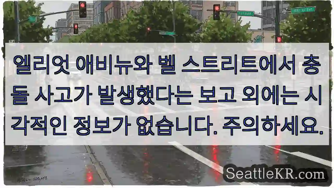 엘리엇 애비뉴와 벨 스트리트에서 충돌 사고가 발생했다는 보고 외에는 시각적인 정보가