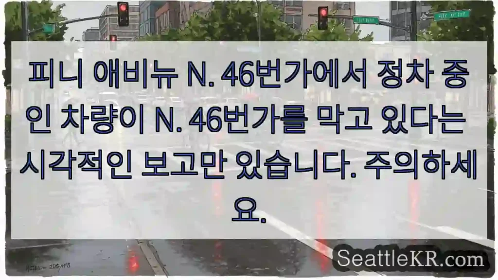 피니 애비뉴 N. 46번가에서 정차 중인 차량이 N. 46번가를 막고 있다는 시각적인