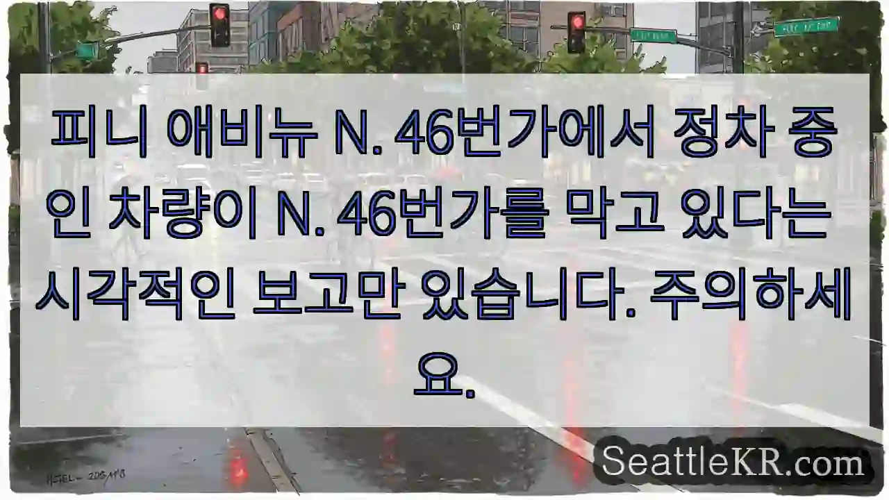 피니 애비뉴 N. 46번가에서 정차 중인 차량이 N. 46번가를 막고 있다는 시각적인