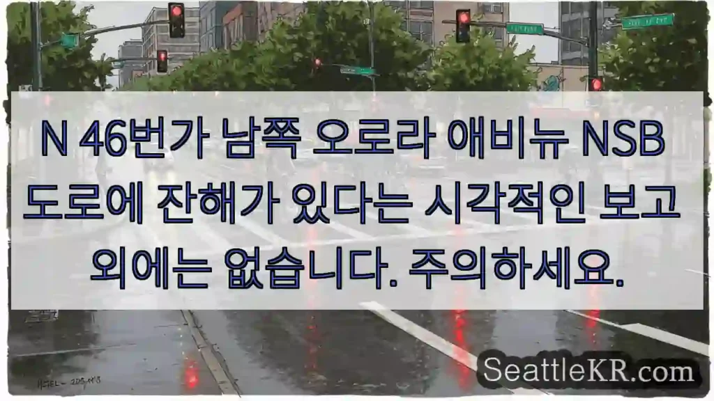 N 46번가 남쪽 오로라 애비뉴 NSB 도로에 잔해가 있다는 시각적인 보고 외에는