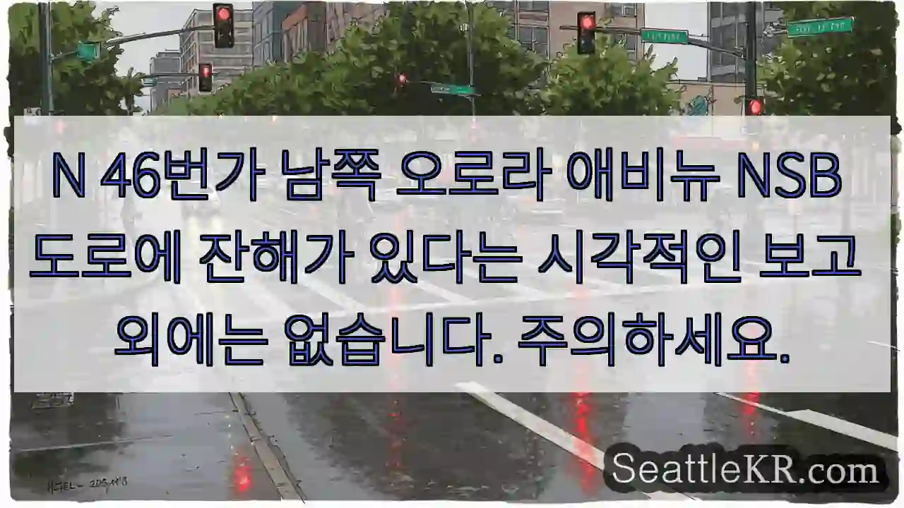 N 46번가 남쪽 오로라 애비뉴 NSB 도로에 잔해가 있다는 시각적인 보고 외에는