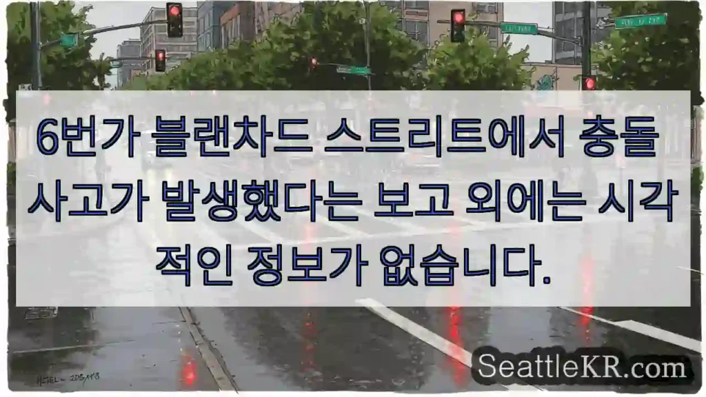 6번가 블랜차드 스트리트에서 충돌 사고가 발생했다는 보고 외에는 시각적인 정보가 없습니다.