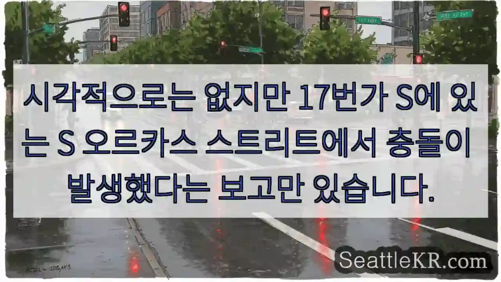 시각적으로는 없지만 17번가 S에 있는 S 오르카스 스트리트에서 충돌이 발생했다는 보고만