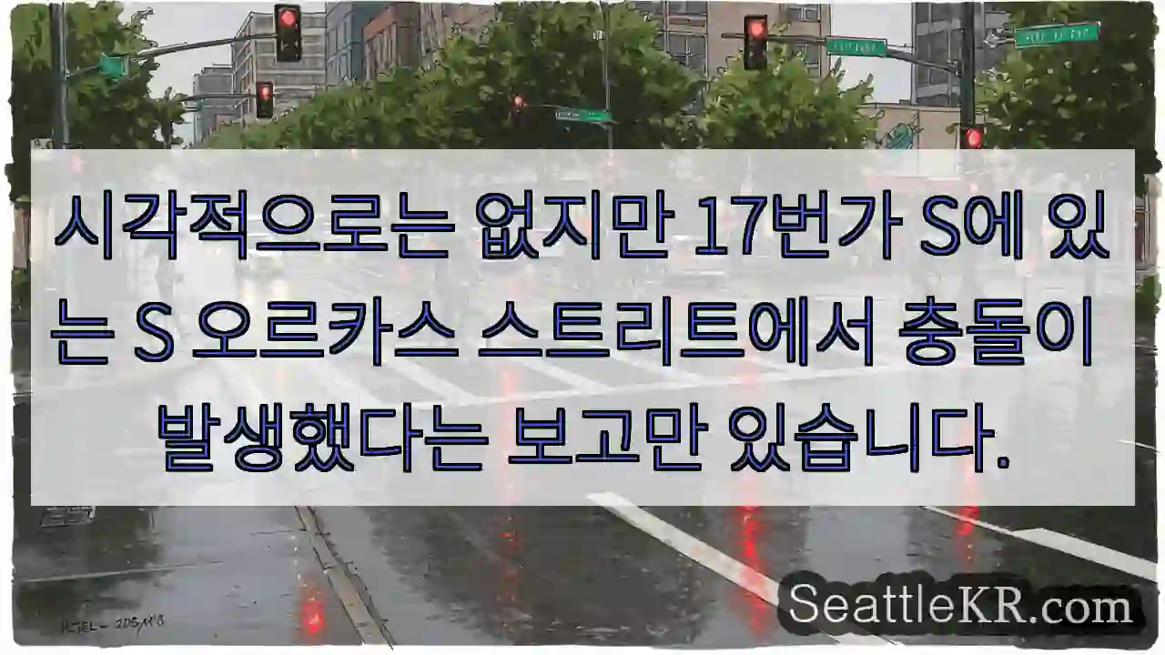 시각적으로는 없지만 17번가 S에 있는 S 오르카스 스트리트에서 충돌이 발생했다는 보고만