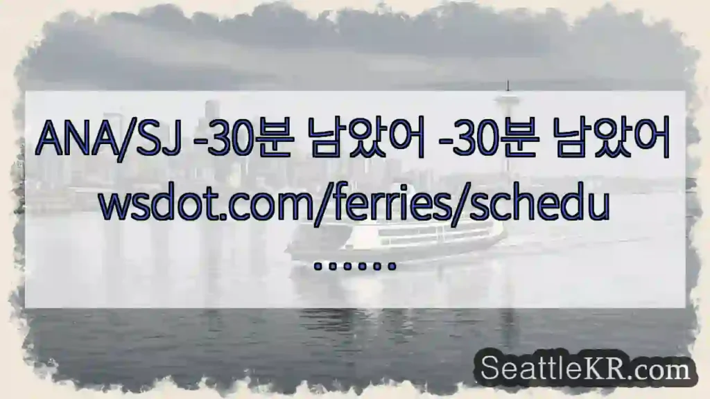 ANA/SJ -30분 남았어 -30분