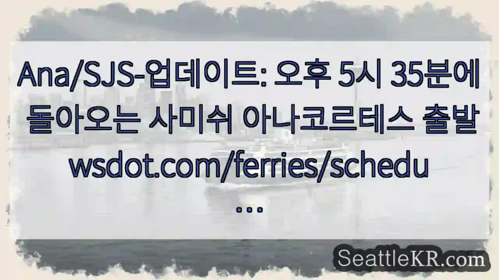 Ana/SJS-업데이트: 오후 5시 35분에 돌아오는 사미쉬 아나코르테스