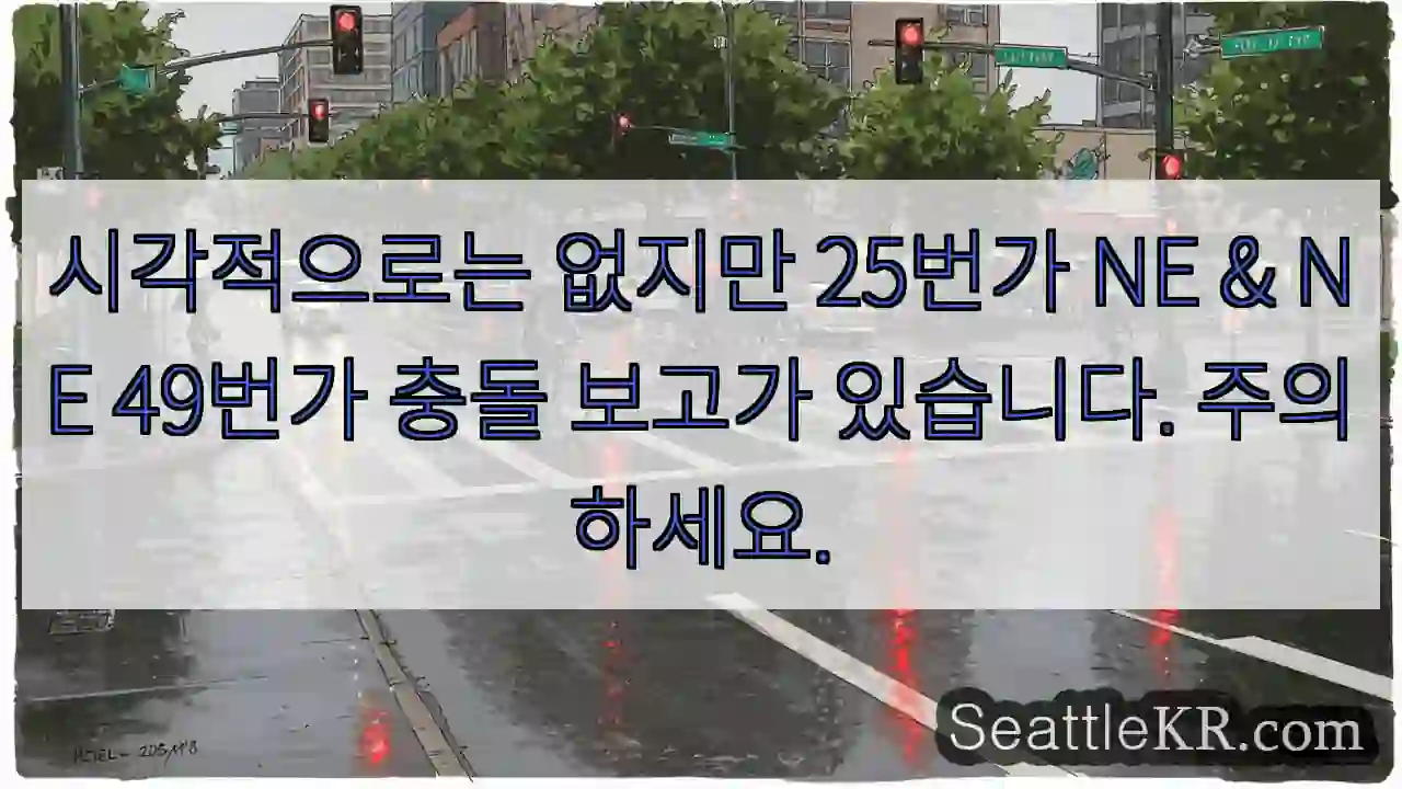 시각적으로는 없지만 25번가 NE & NE 49번가 충돌 보고가 있습니다. 주의하세요.