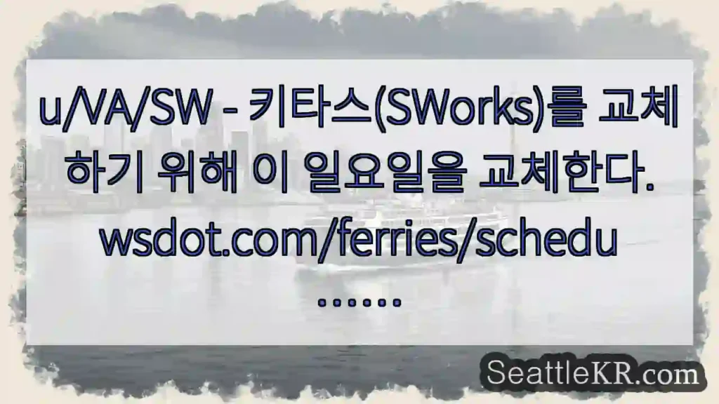 u/VA/SW - 키타스(SWorks)를 교체하기 위해 이 일요일을