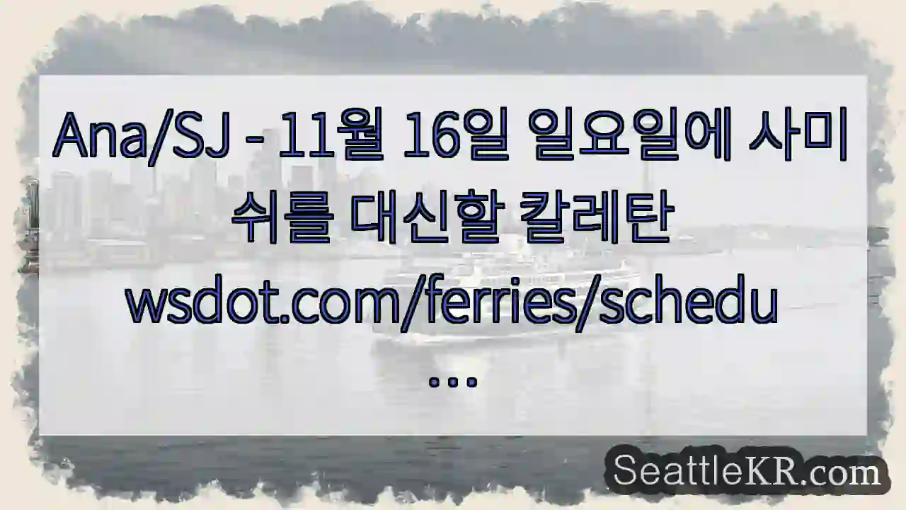 Ana/SJ - 11월 16일 일요일에 사미쉬를 대신할