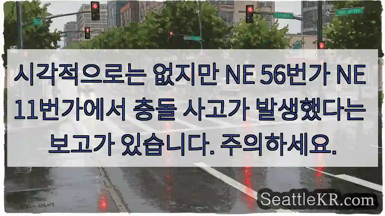 시각적으로는 없지만 NE 56번가 NE 11번가에서 충돌 사고가 발생했다는 보고가