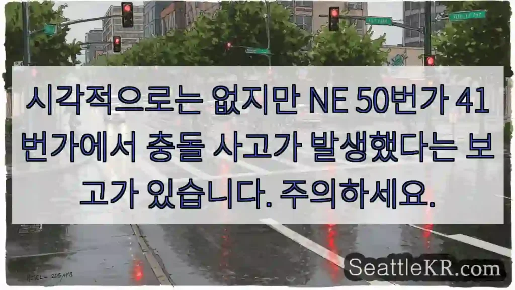 시각적으로는 없지만 NE 50번가 41번가에서 충돌 사고가 발생했다는 보고가 있습니다.