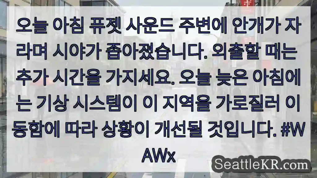 오늘 아침 퓨젯 사운드 주변에 안개가 자라며 시야가 좁아졌습니다. 외출할 때는 추가