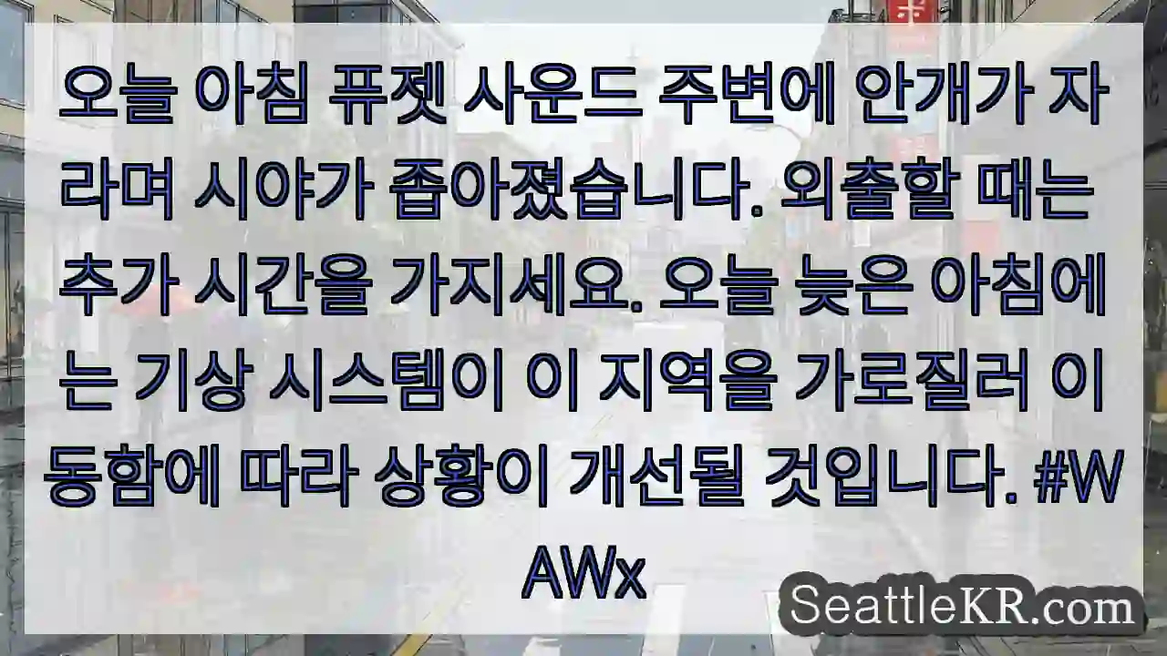 오늘 아침 퓨젯 사운드 주변에 안개가 자라며 시야가 좁아졌습니다. 외출할 때는 추가 1 오늘 아침 퓨젯 사운드 주변에 안개가 자라며 시야가 좁아졌습니다. 외출할 때는 추가