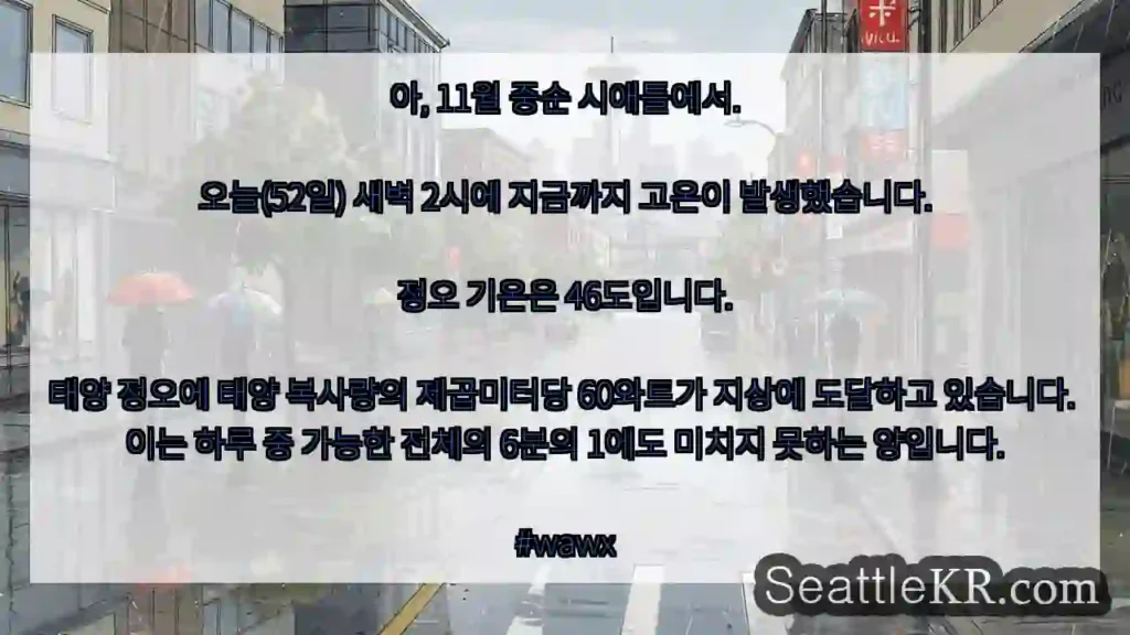 아, 11월 중순 시애틀에서. 오늘(52일) 새벽 2시에 지금까지 고온이