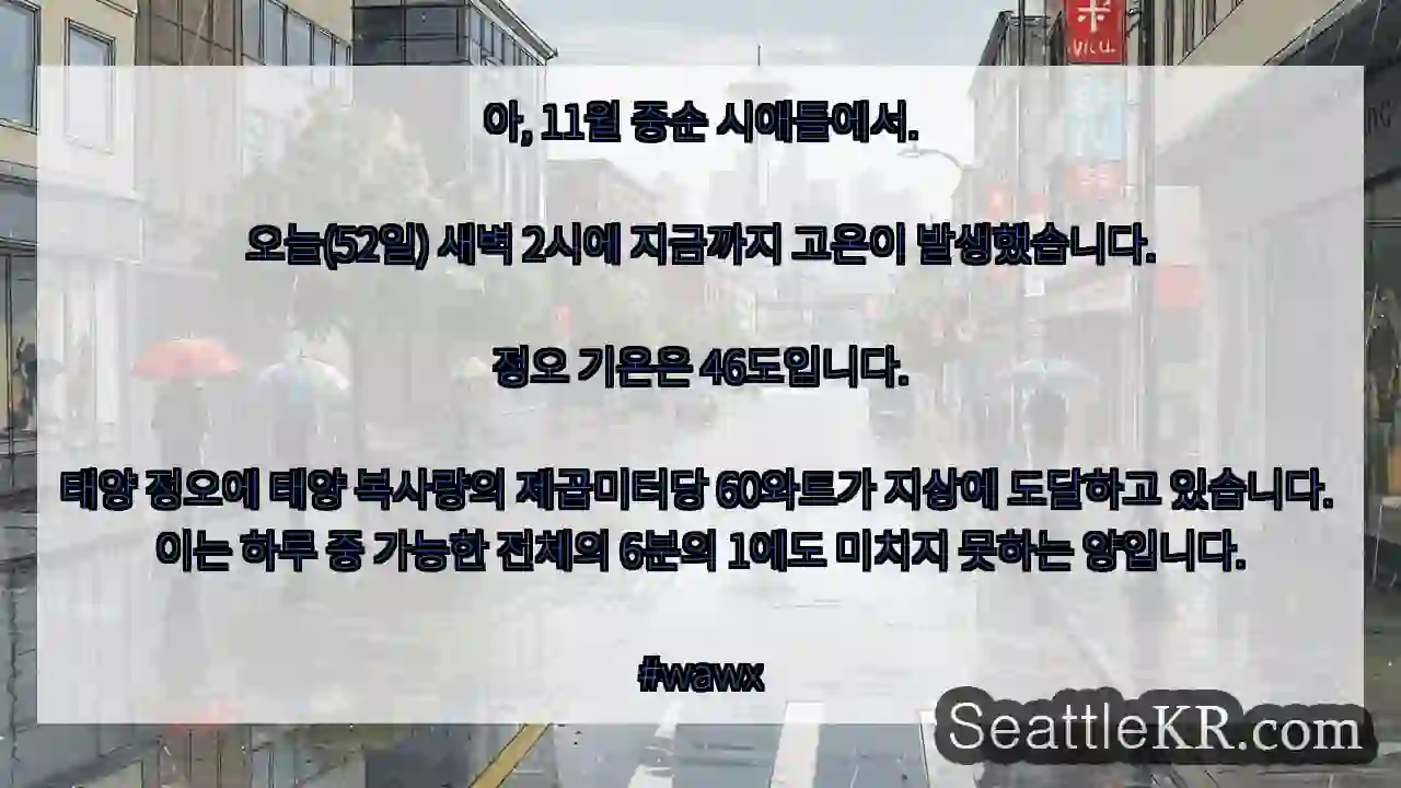 아, 11월 중순 시애틀에서.오늘(52일) 새벽 2시에 지금까지 고온이