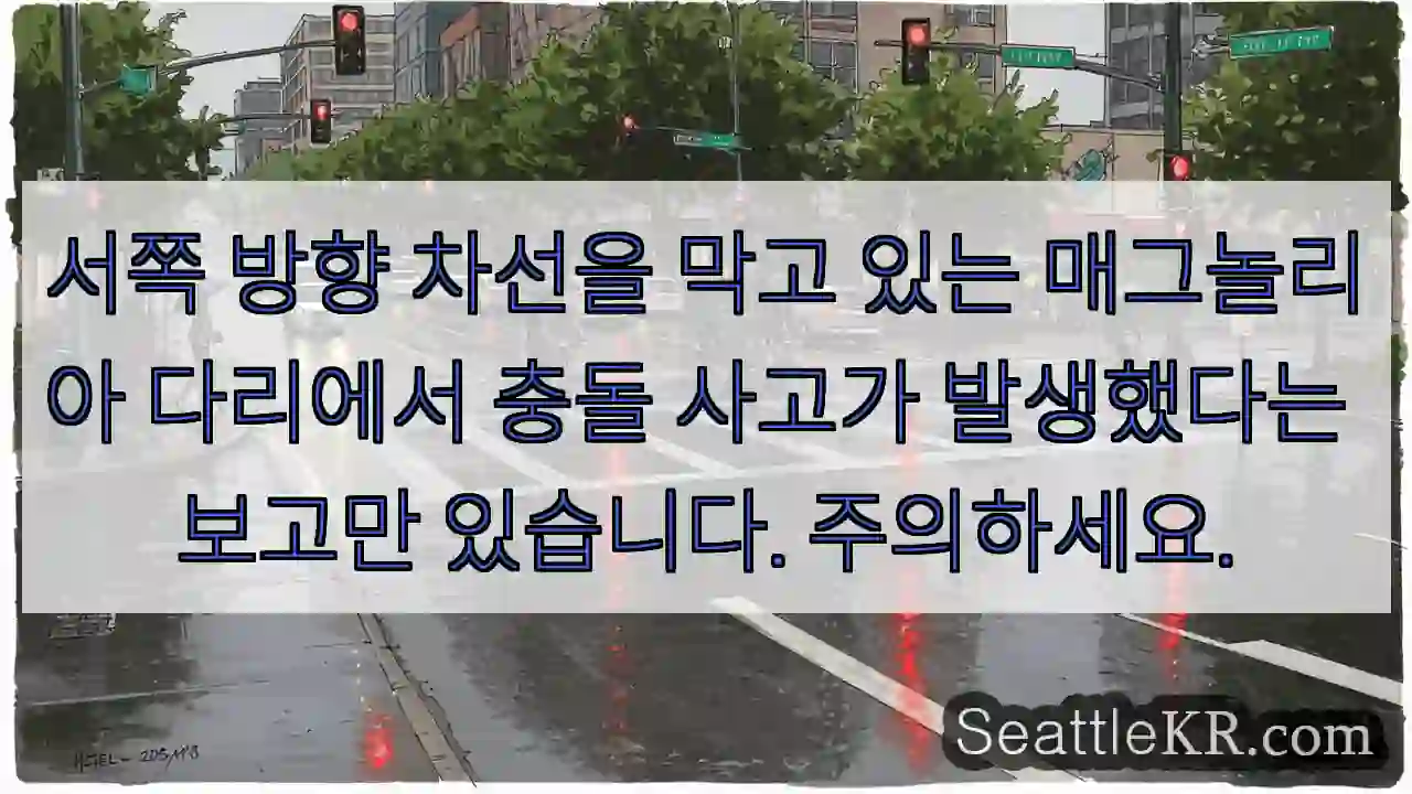 서쪽 방향 차선을 막고 있는 매그놀리아 다리에서 충돌 사고가 발생했다는 보고만 있습니다.