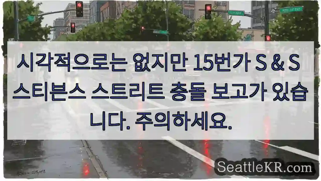 시각적으로는 없지만 15번가 S & S 스티븐스 스트리트 충돌 보고가 있습니다.
